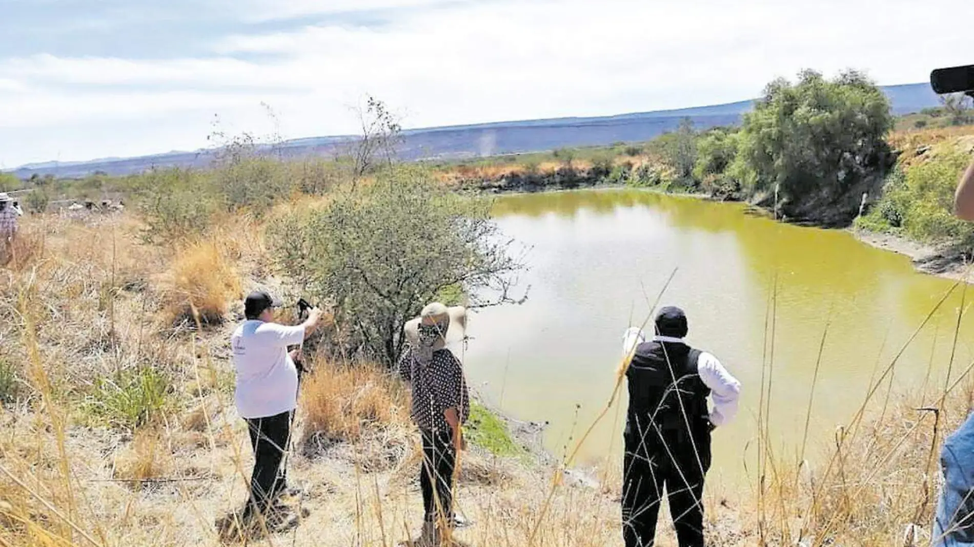 Ecocidio cicacalco